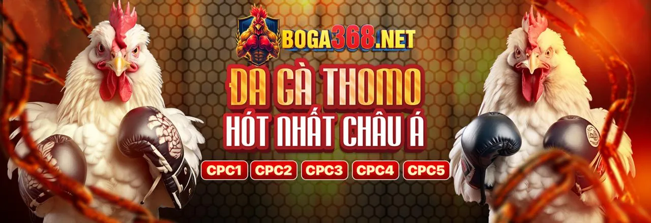 Sân vận động rực sáng với các môn thể thao và logo good888